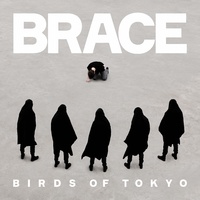 Birds Of Tokyo - Brace