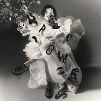 Megan Washington - Batflowers