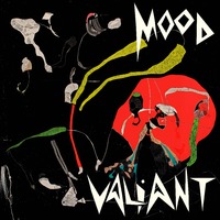 Hiatus Kaiyote - Mood Valiant