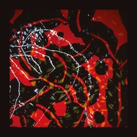 Brian Eno - Nerve Net