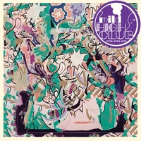 Mild High Club - Going, Going, Gone