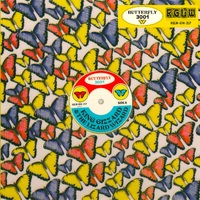 King Gizzard & The Lizard Wizard - Butterfly 3001