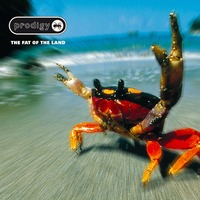 The Prodigy - The Fat Of The Land