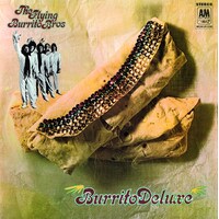 The Flying Burrito Brothers - Burrito Deluxe