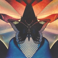 Thornhill - Butterfly