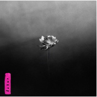 Little Simz - Lotus