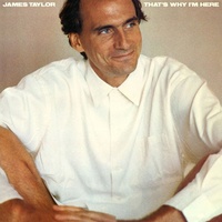James Taylor - That's Why I'm Here