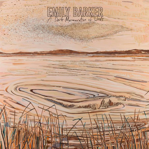 Emily Barker - A Dark Murmuration Of Words