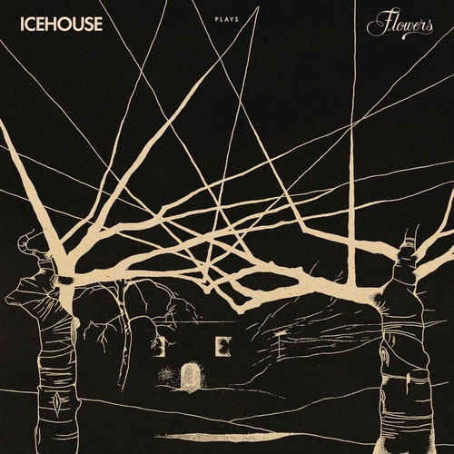 Icehouse - Icehouse Plays Flowers Live