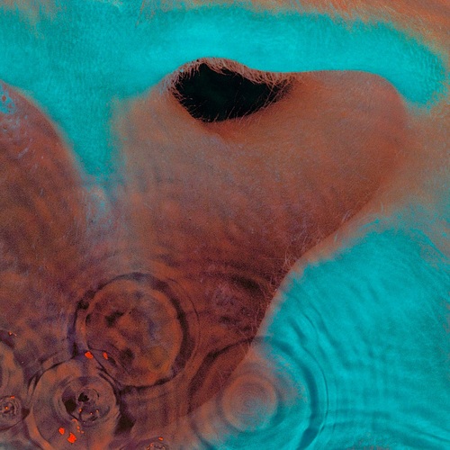 Pink Floyd - Meddle