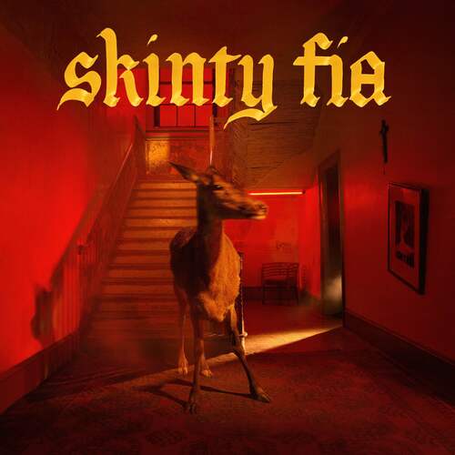 Fontaines D.C.  - Skinty Fia