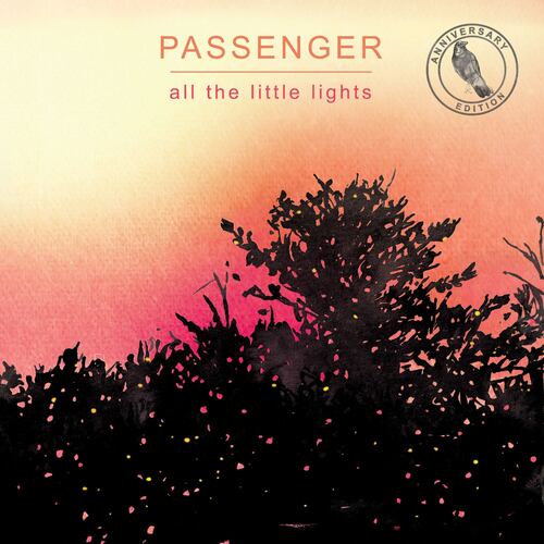 Passenger - All The Little Lights