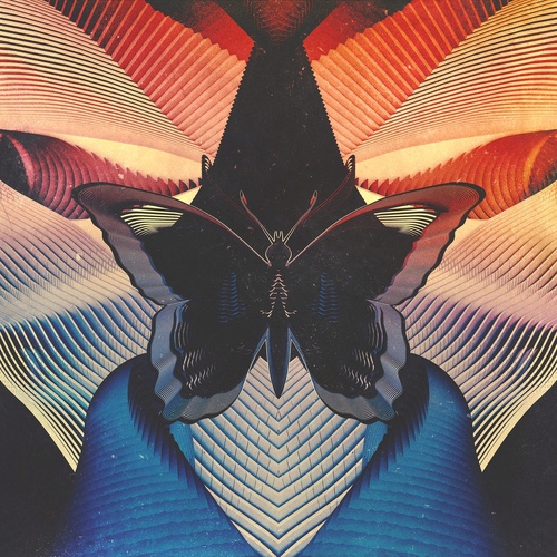 Thornhill - Butterfly