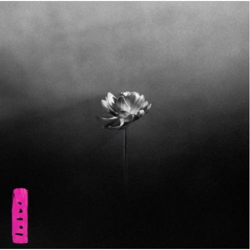 Little Simz - Lotus