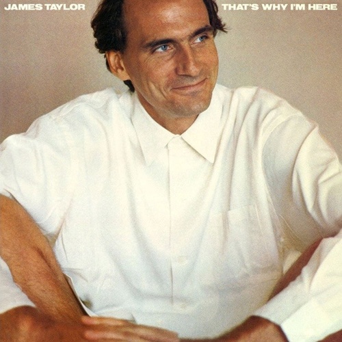 James Taylor - That's Why I'm Here