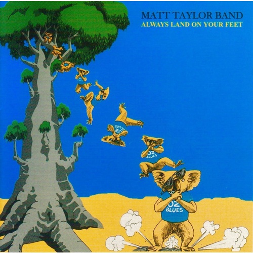 Matt Taylor Band - Always Land On Your Feet